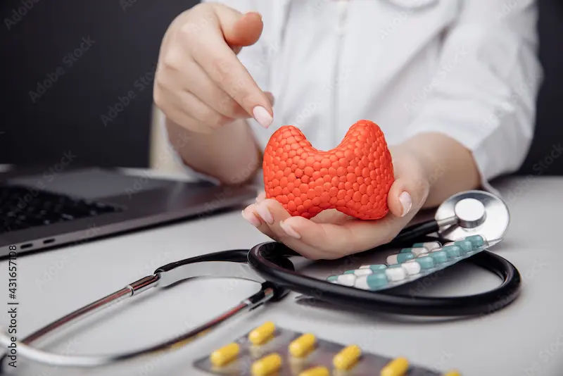 Hypothyroidism and Pregnancy Your Essential Guide to a Healthy Journey
